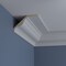 Ekena Millwork 9 1/8"H x 5 7/8"P x 10 3/4"F x 94 1/2"L Robin Crown Moulding MLD09X06X11RO - alternate 5